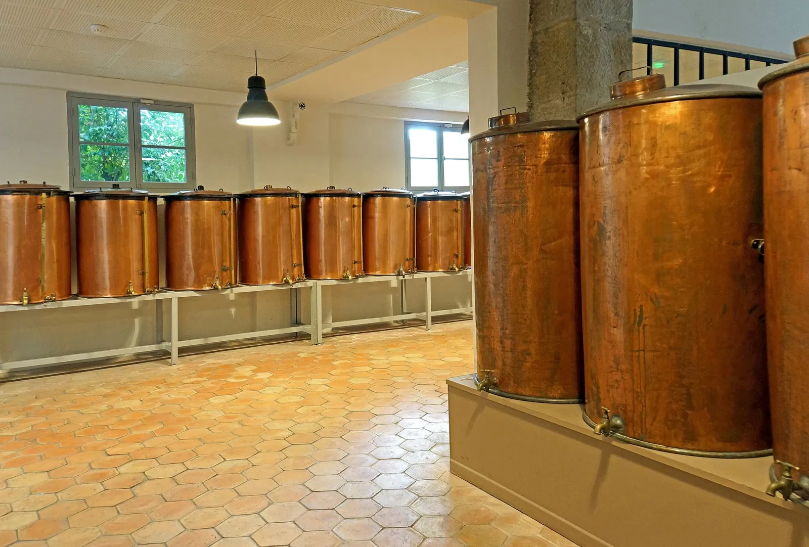 Musée International de la Parfumerie