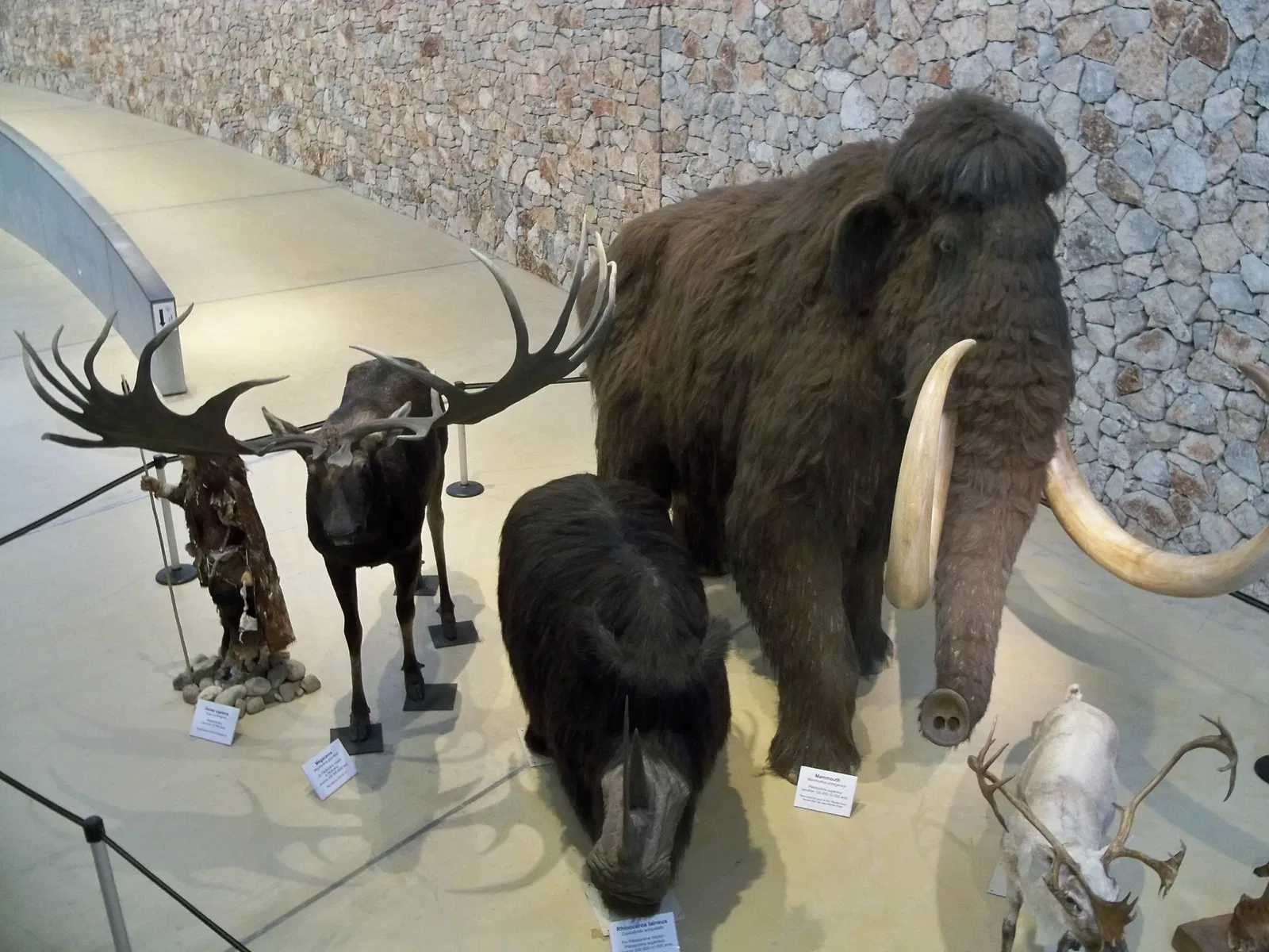 Musée de Préhistoire des Gorges du Verdon