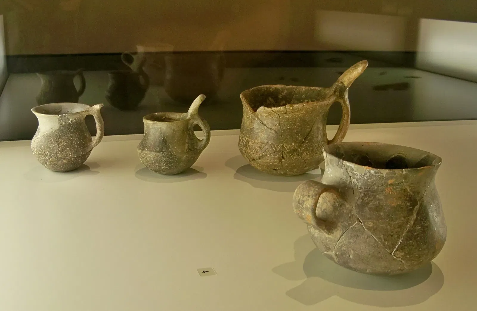 Museum of Prehistory of the Gorges du Verdon