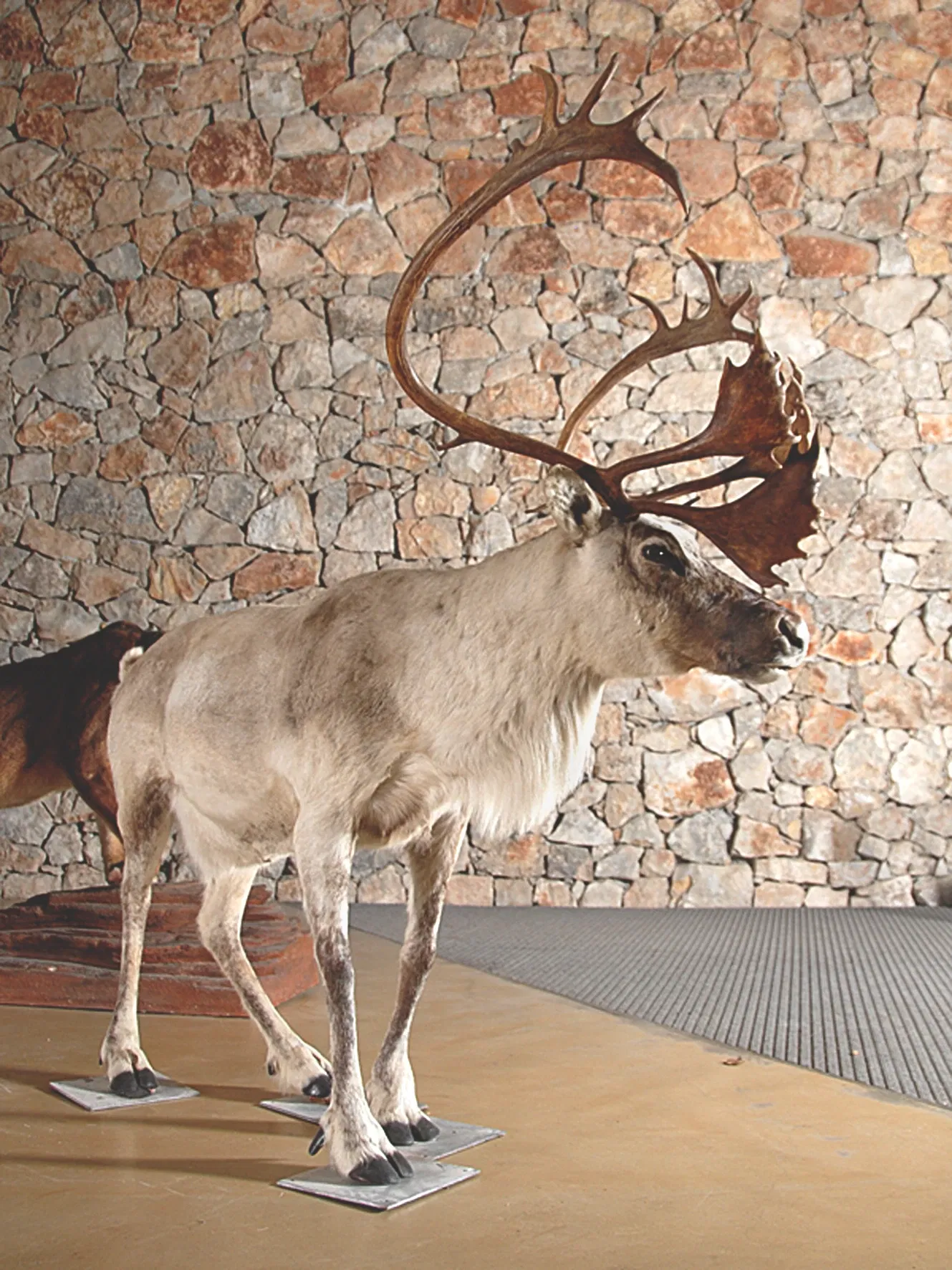 Museum of Prehistory of the Gorges du Verdon