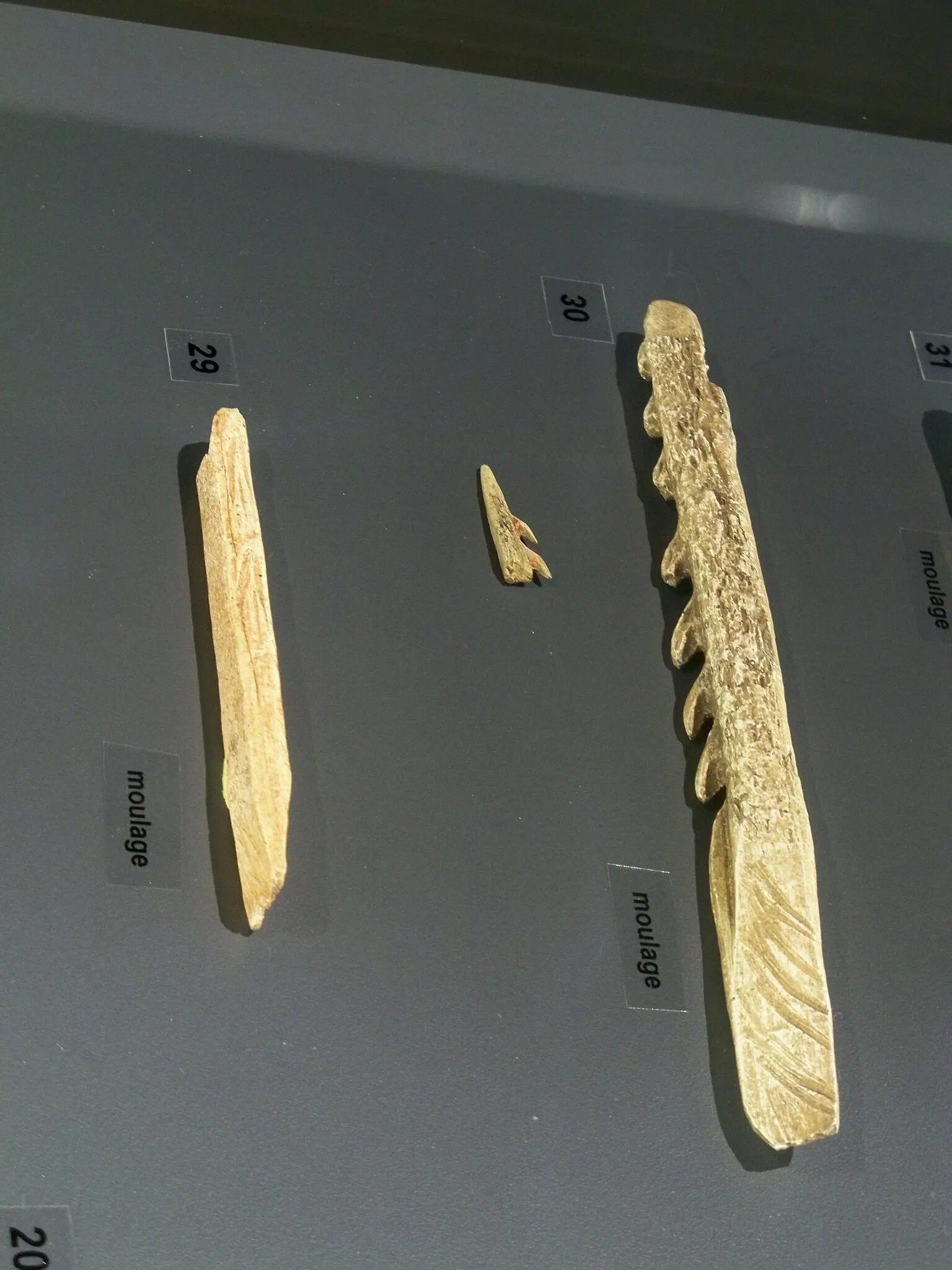 Musée de Préhistoire des Gorges du Verdon