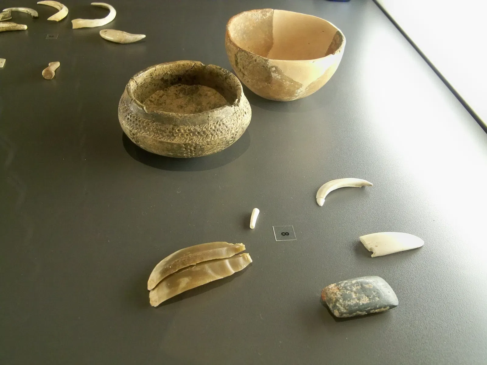 Musée de Préhistoire des Gorges du Verdon