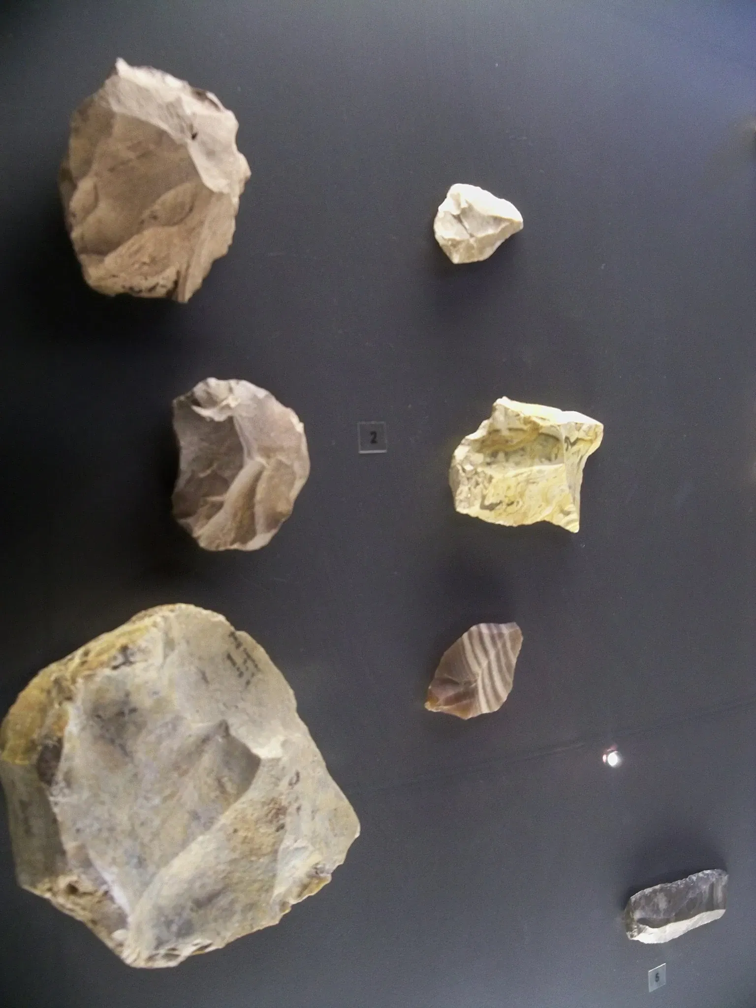 Musée de Préhistoire des Gorges du Verdon