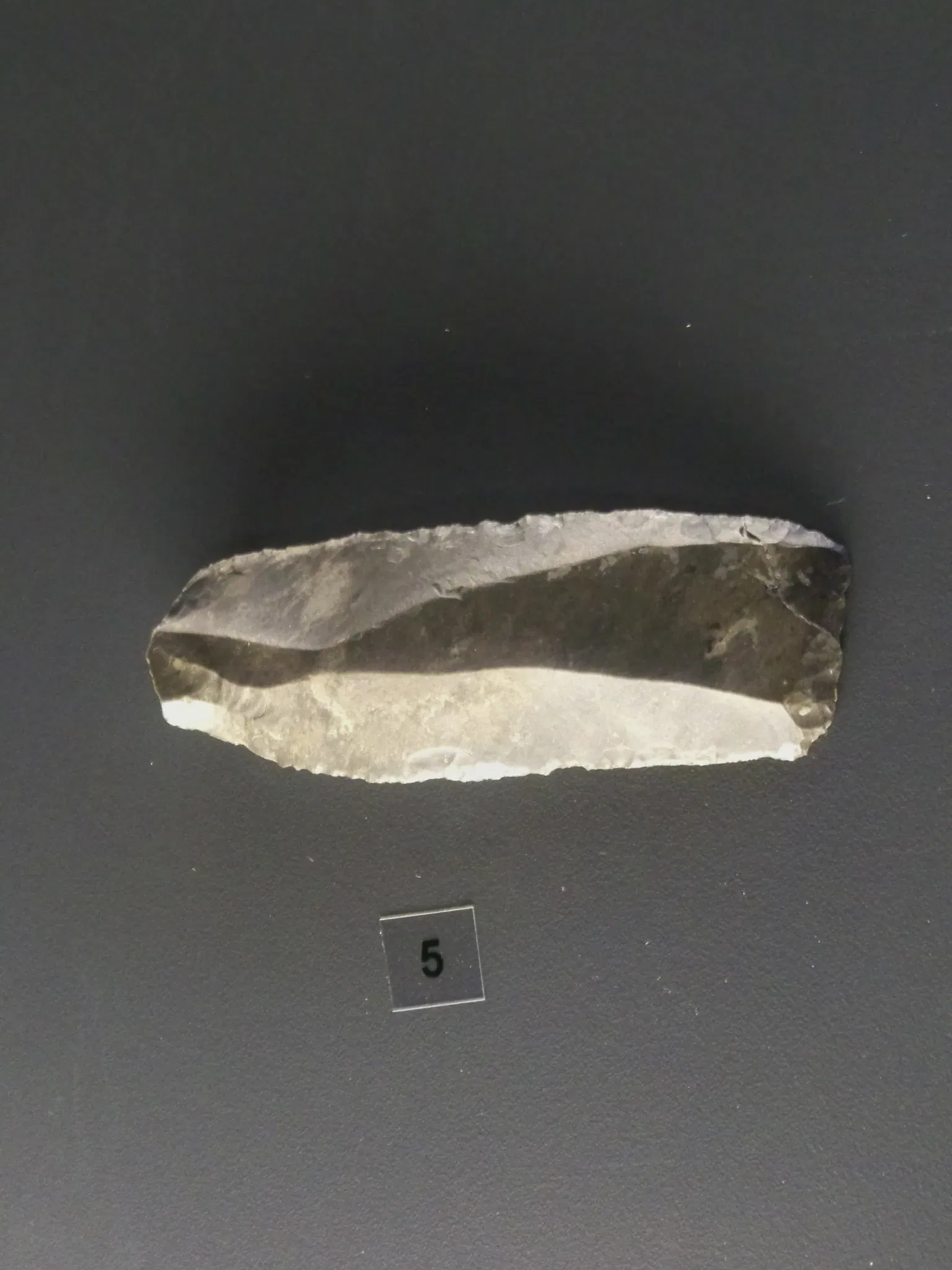 Museum of Prehistory of the Gorges du Verdon