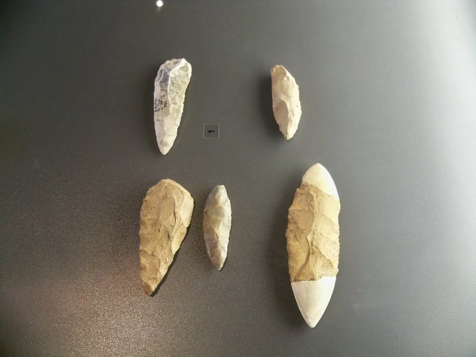 Museum of Prehistory of the Gorges du Verdon