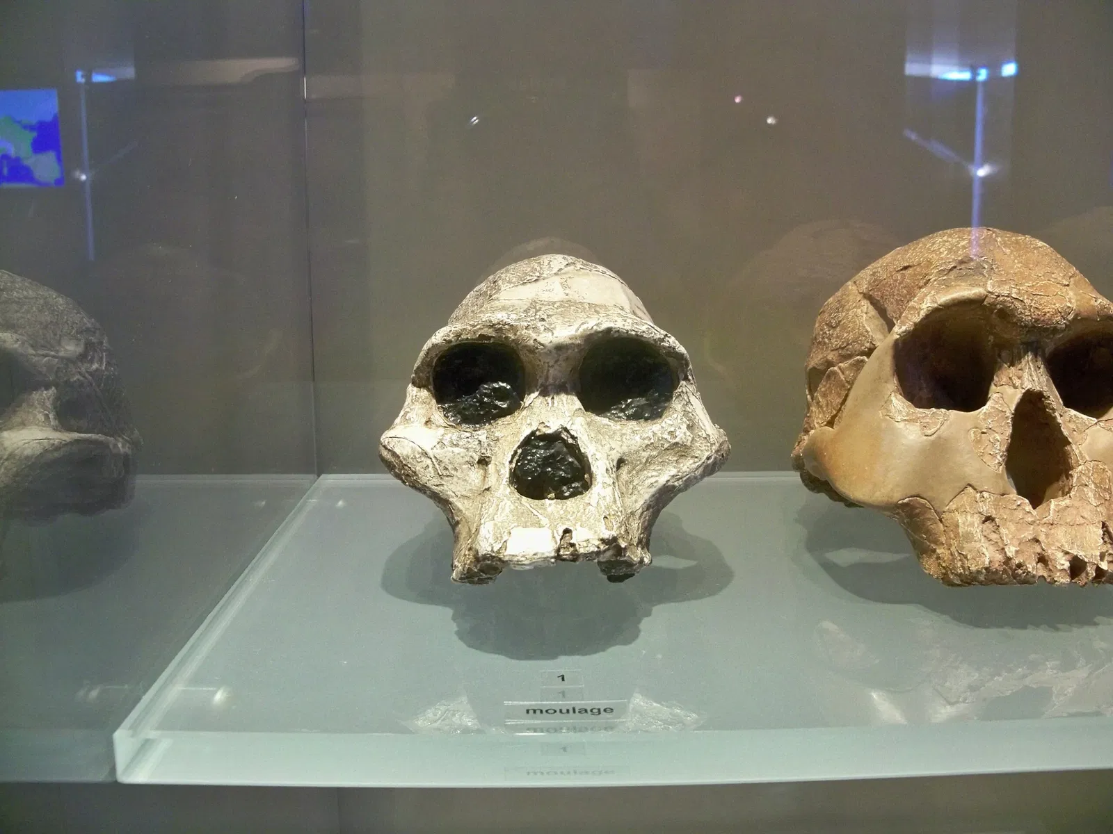 Musée de Préhistoire des Gorges du Verdon