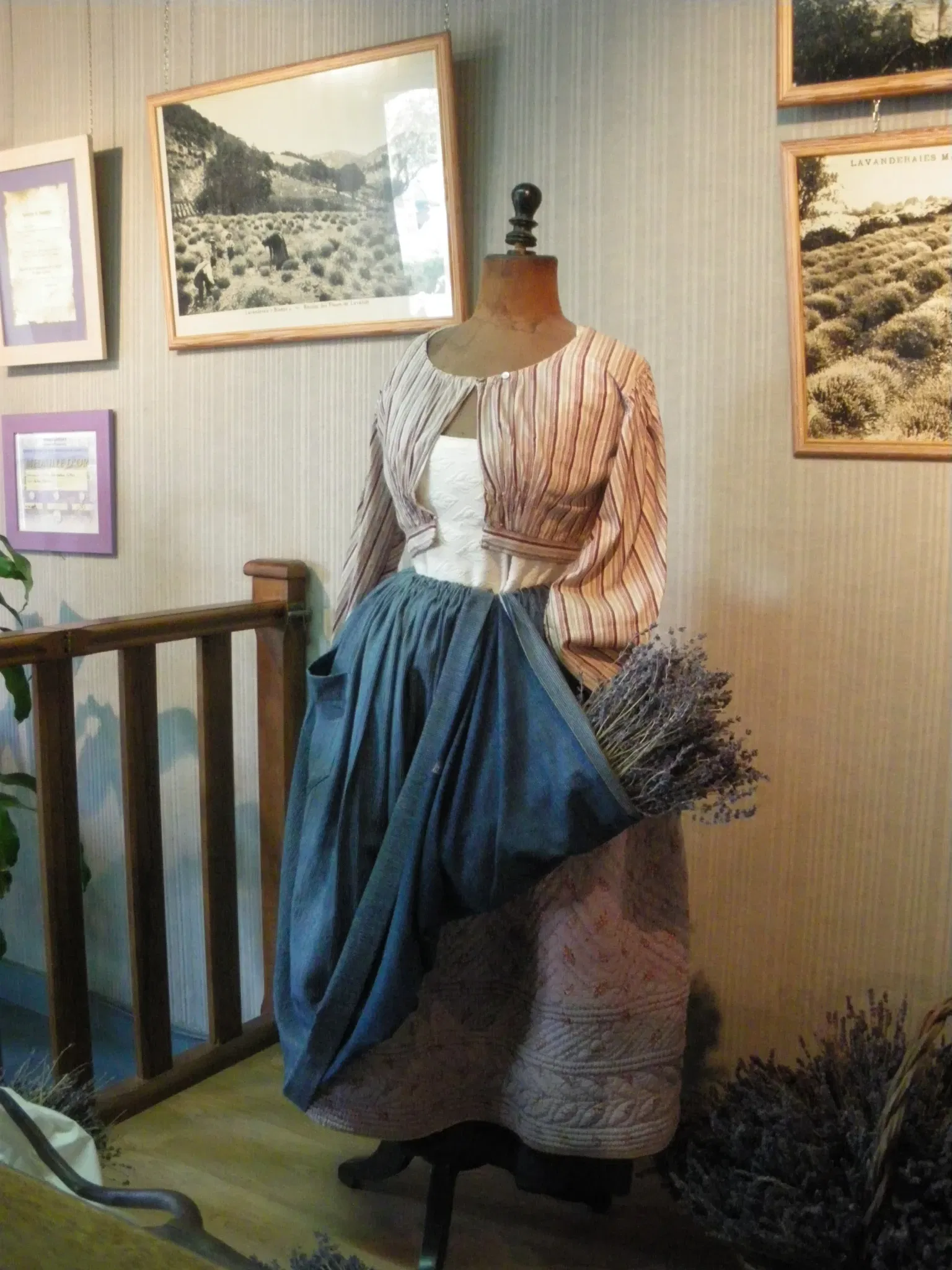 Lavender Museum