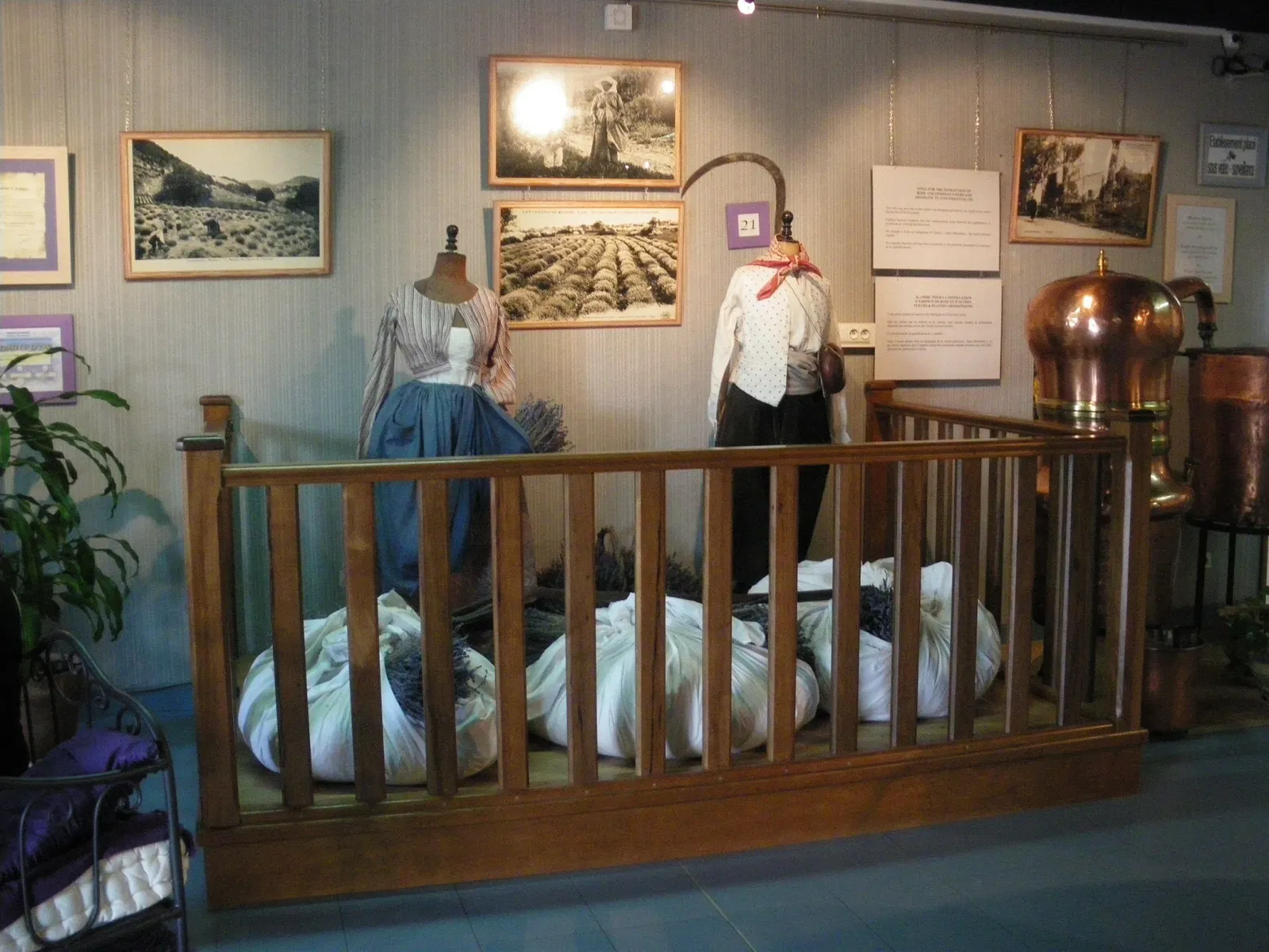 Musée de la Lavande