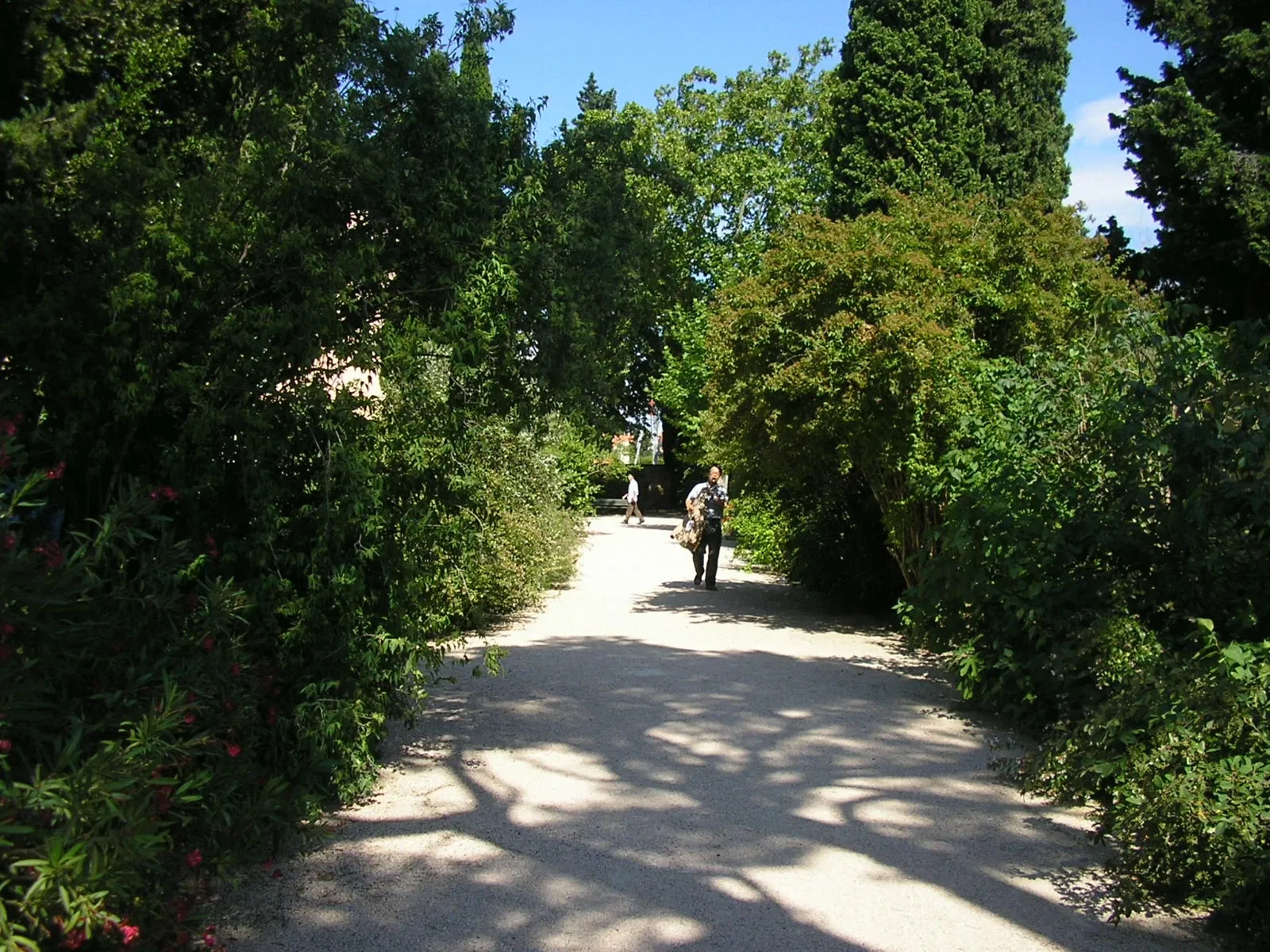 Harmas Jean-Henri Fabre