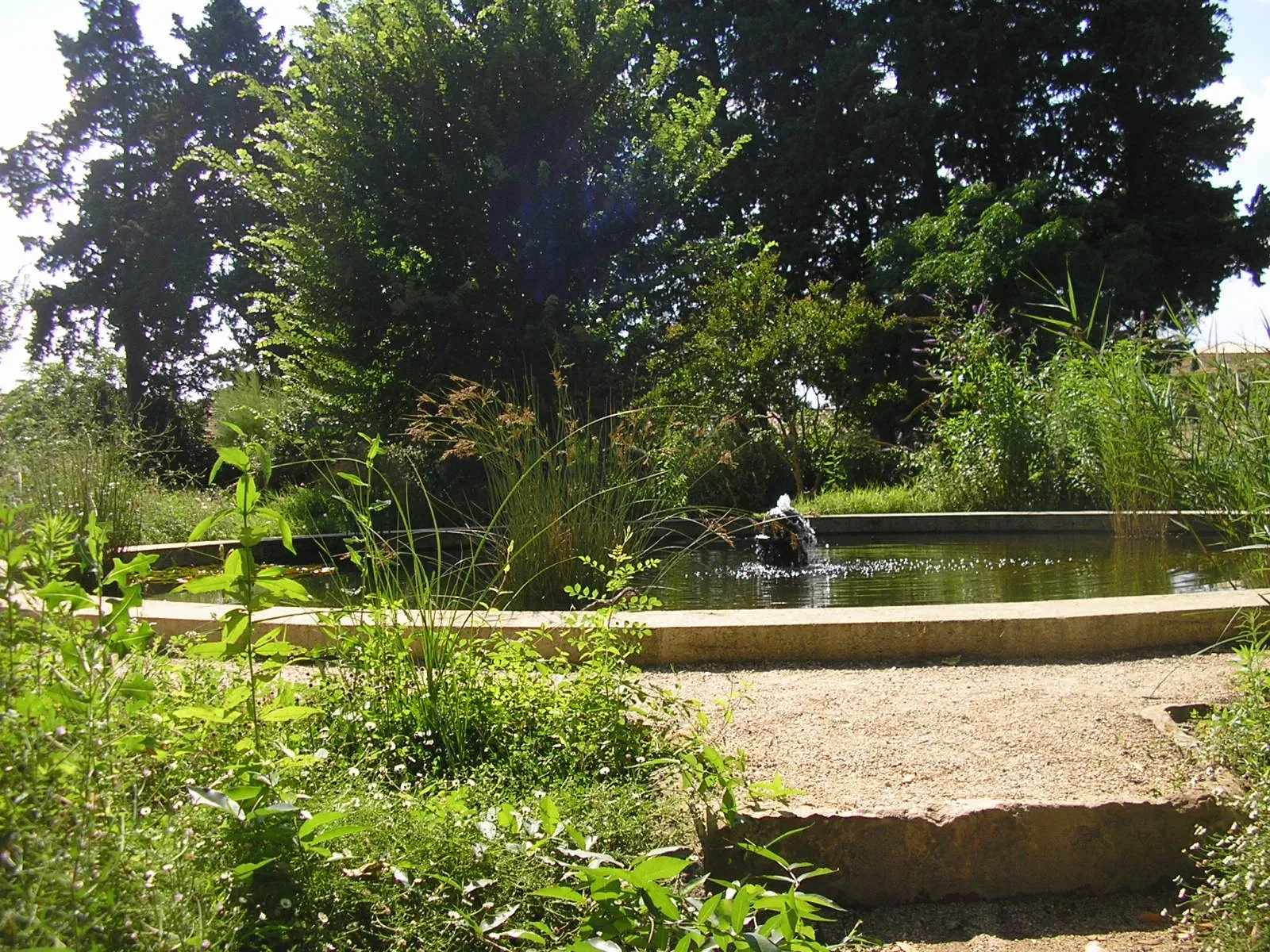 Harmas Jean-Henri Fabre