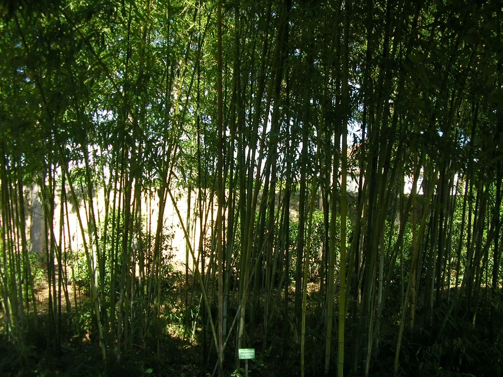 Harmas Jean-Henri Fabre