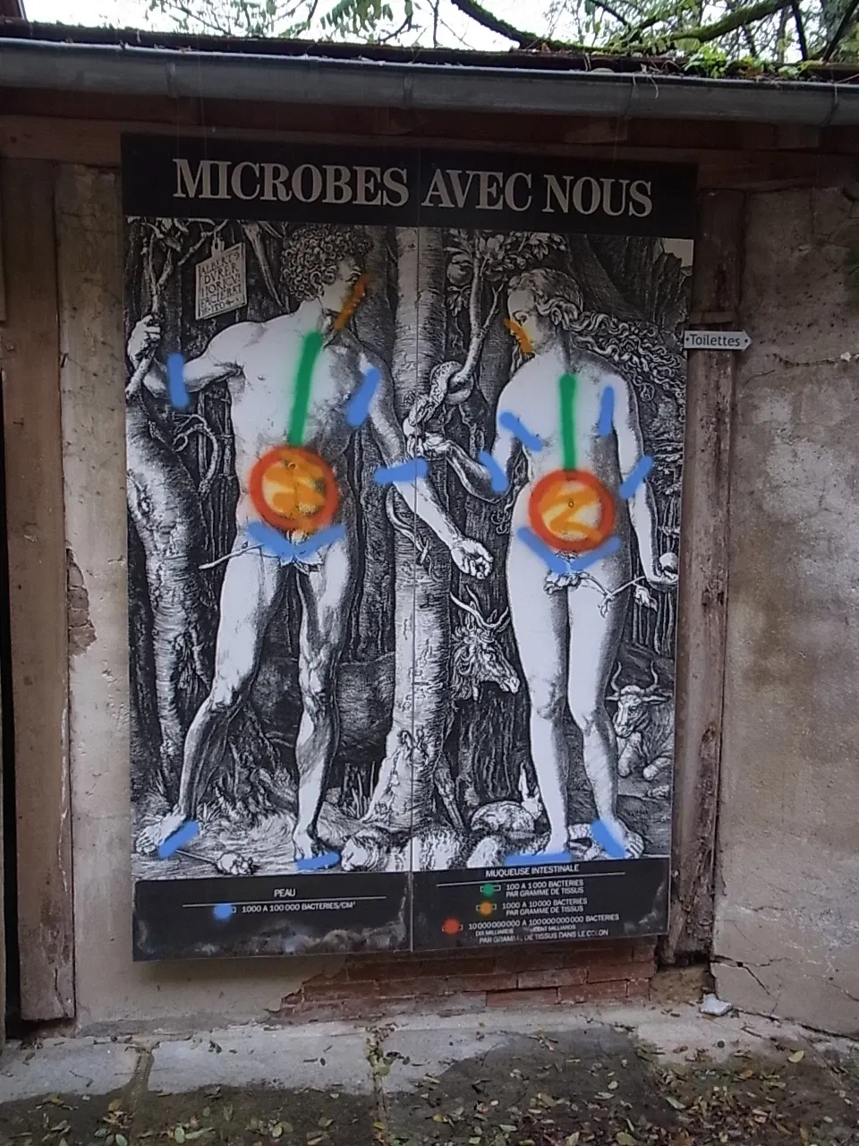 Maison de Louis Pasteur