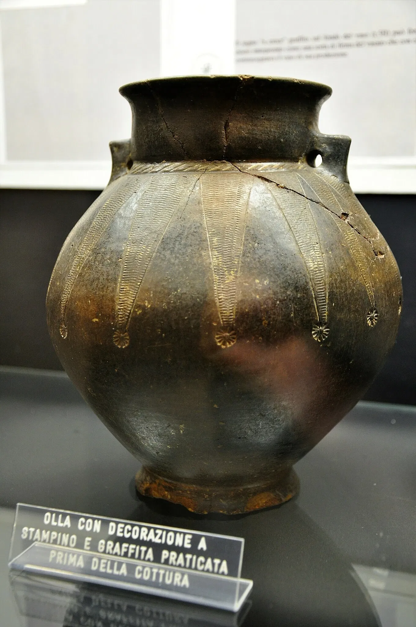 Archaeological Museum of Chiavari