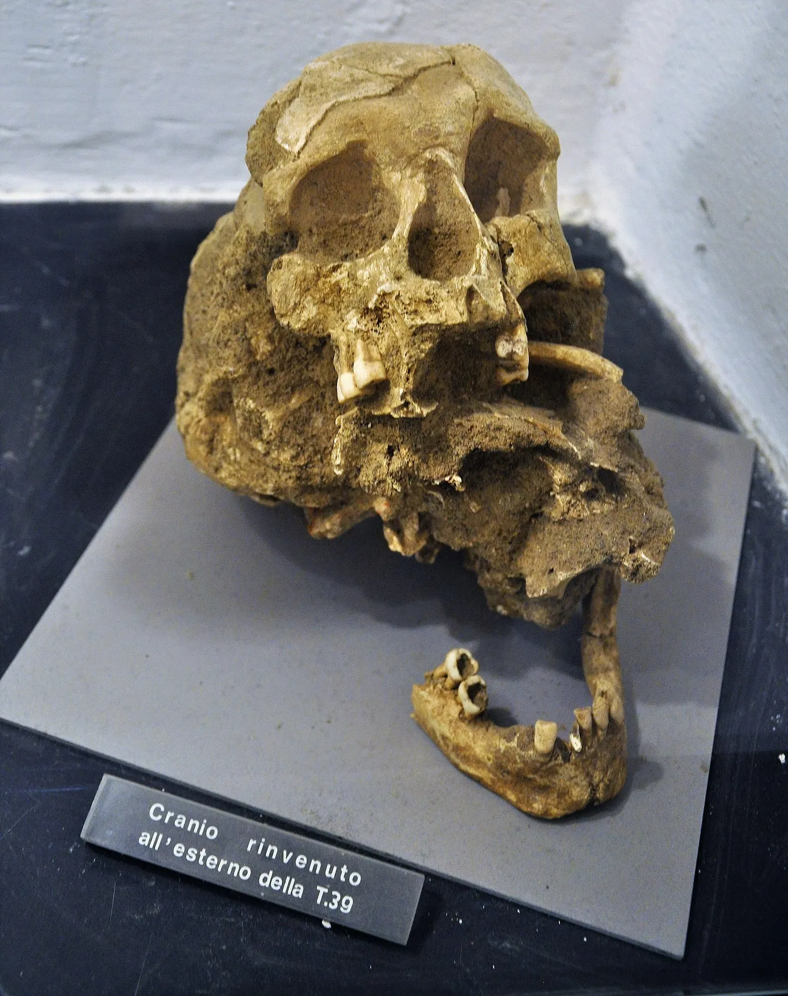 Museo Archeologico di Chiavari