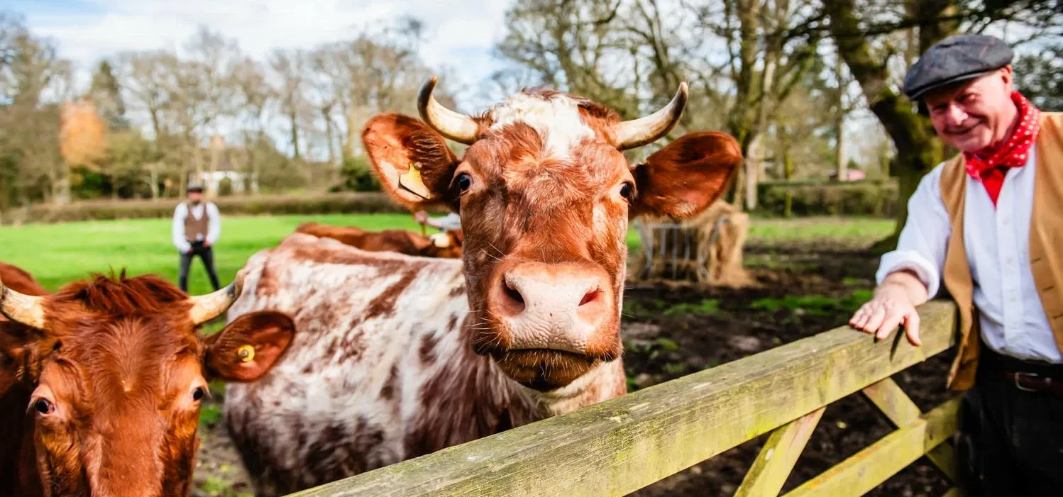 Acton Scott Heritage Farm