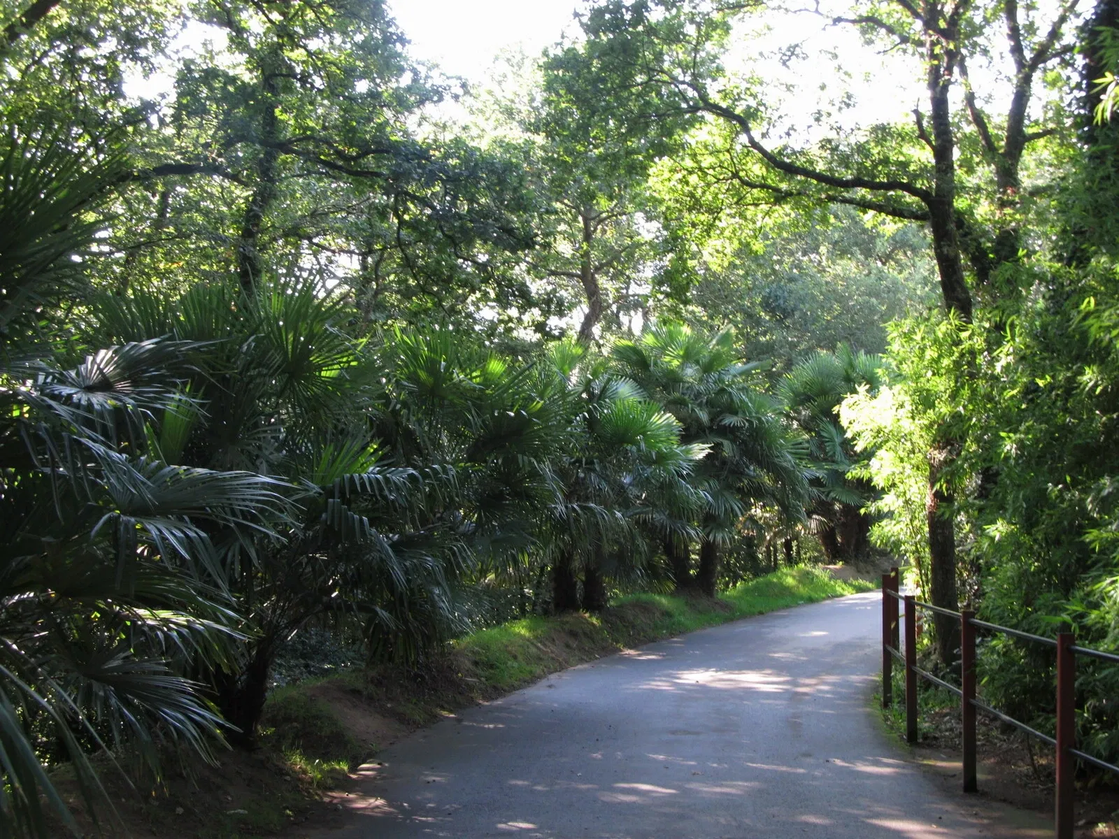 Les Terres de Nataé
