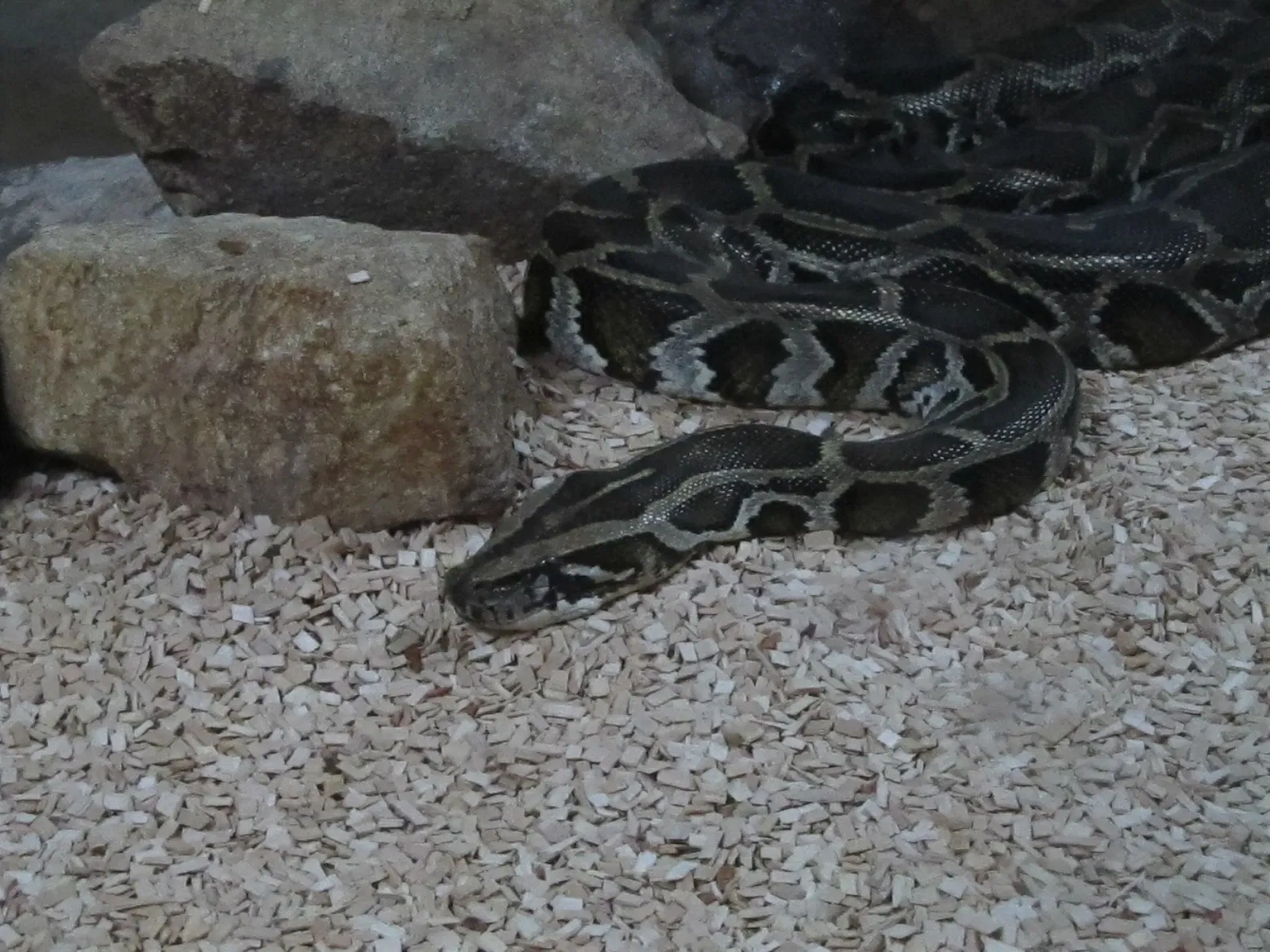 Les Terres de Nataé