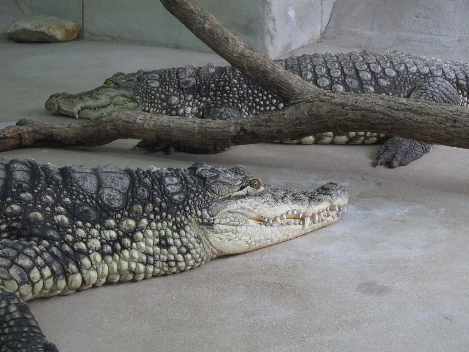 Les Terres de Nataé