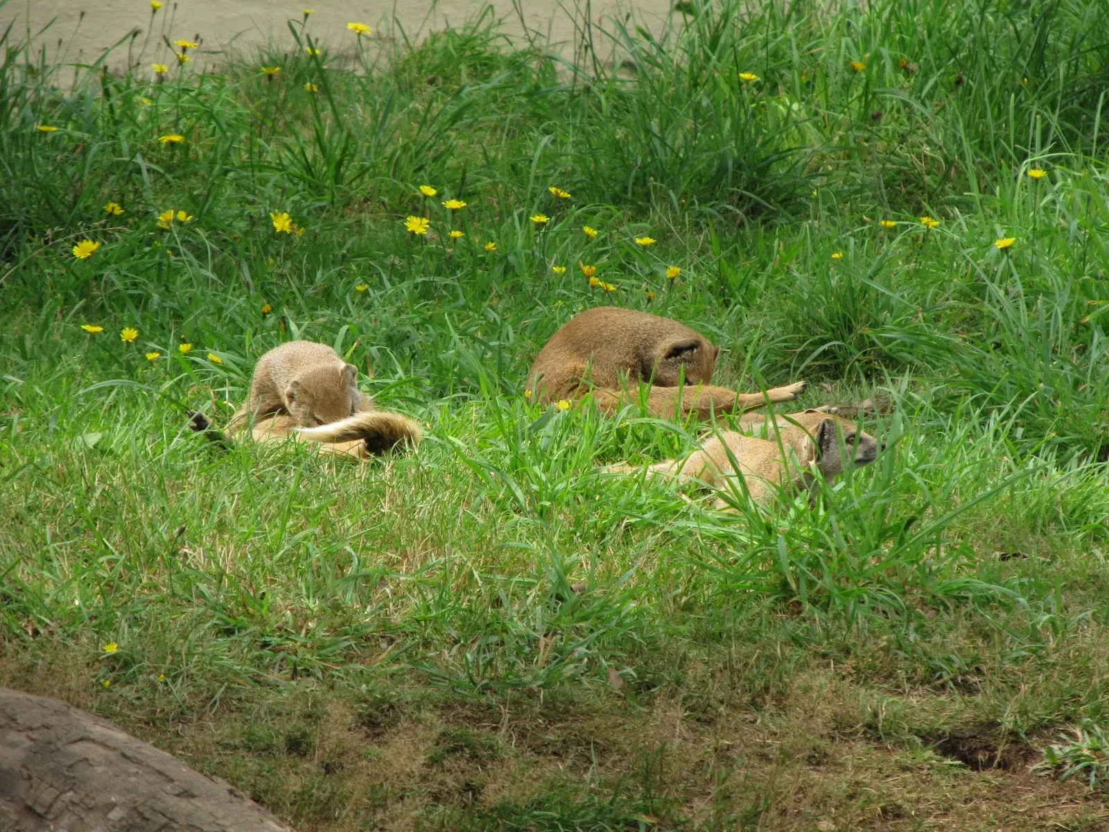 Les Terres de Nataé