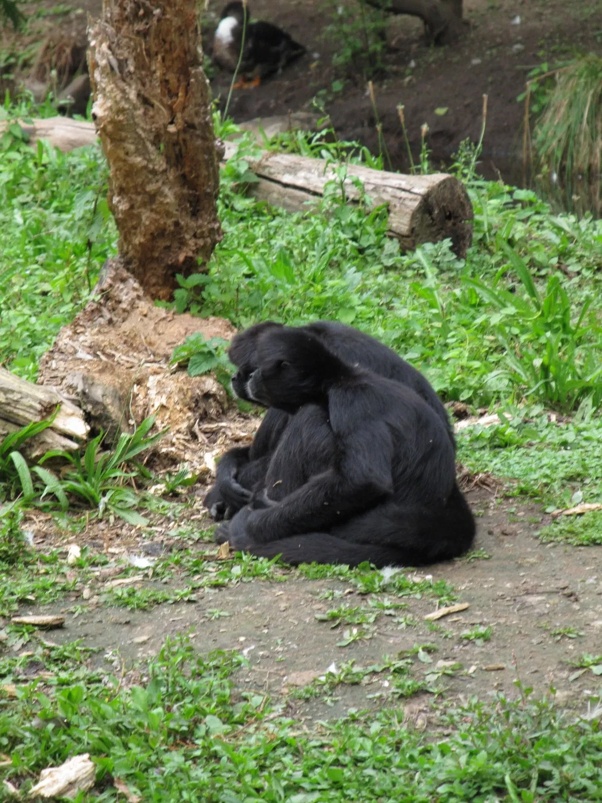 Les Terres de Nataé