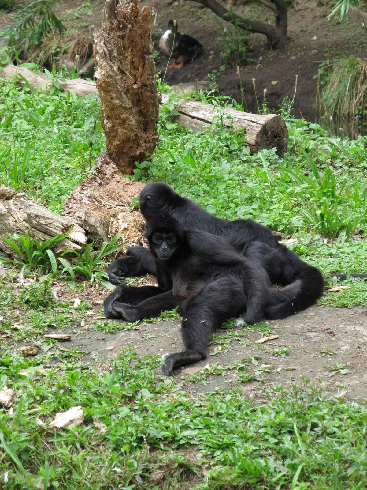Les Terres de Nataé
