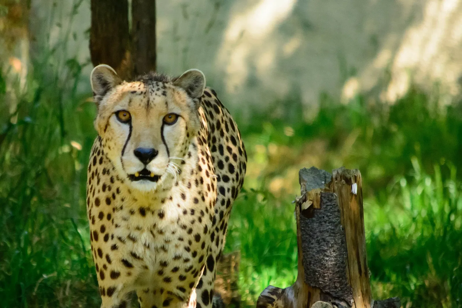 Les Terres de Nataé