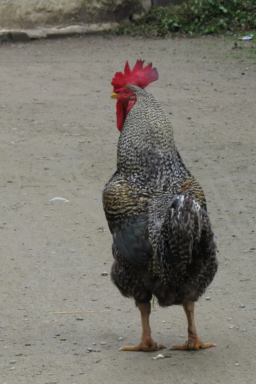 Les Terres de Nataé