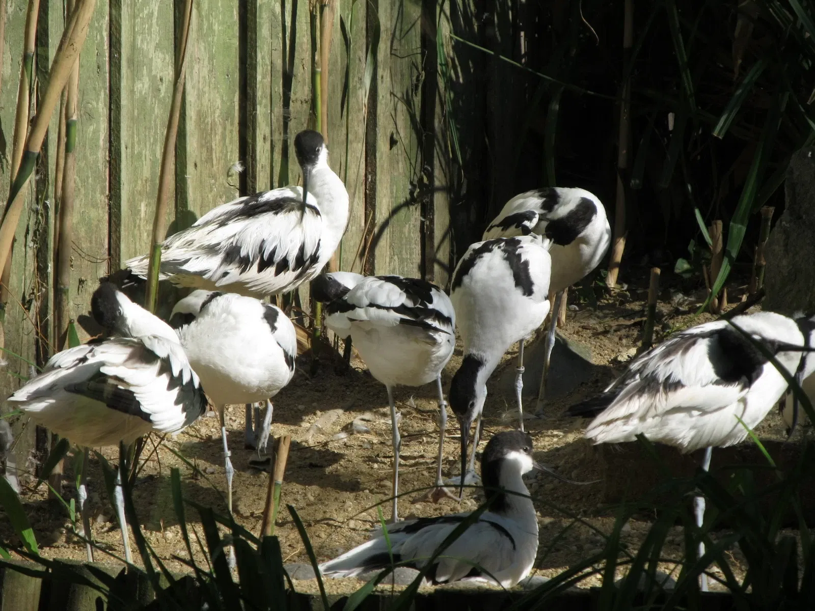 Les Terres de Nataé