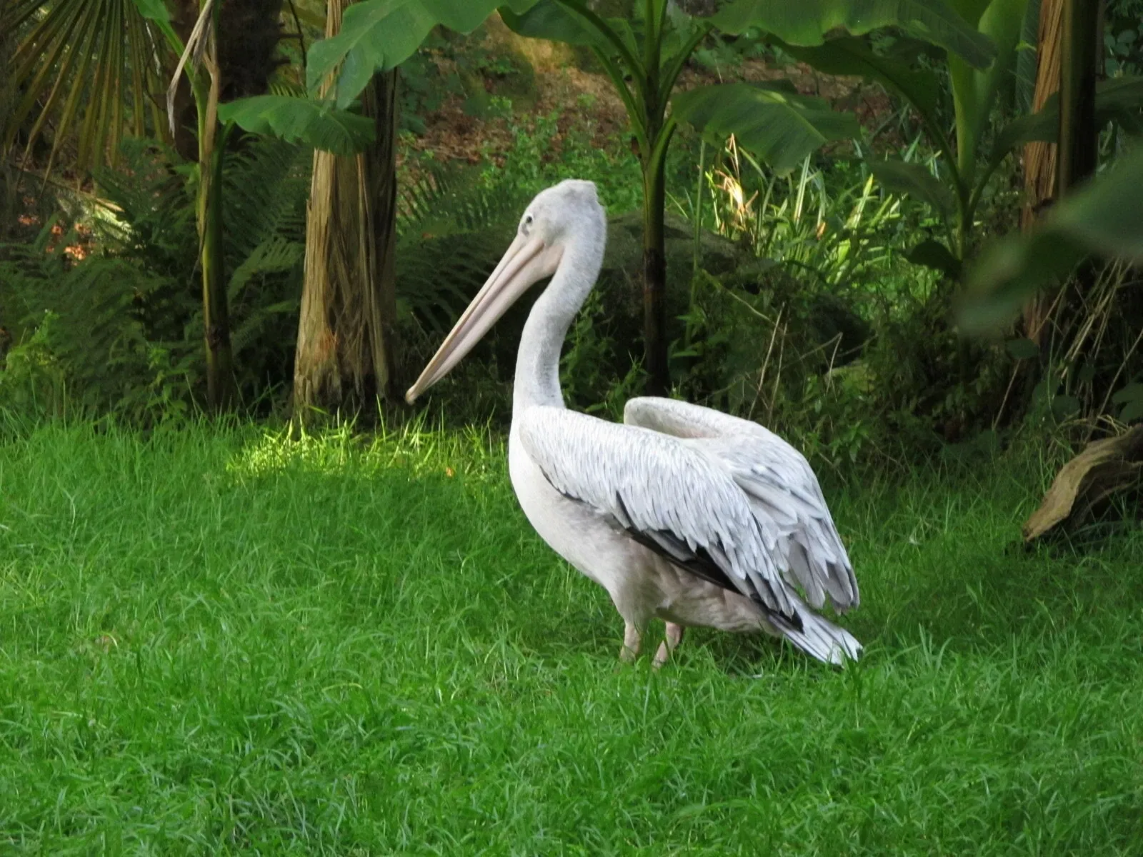 Les Terres de Nataé