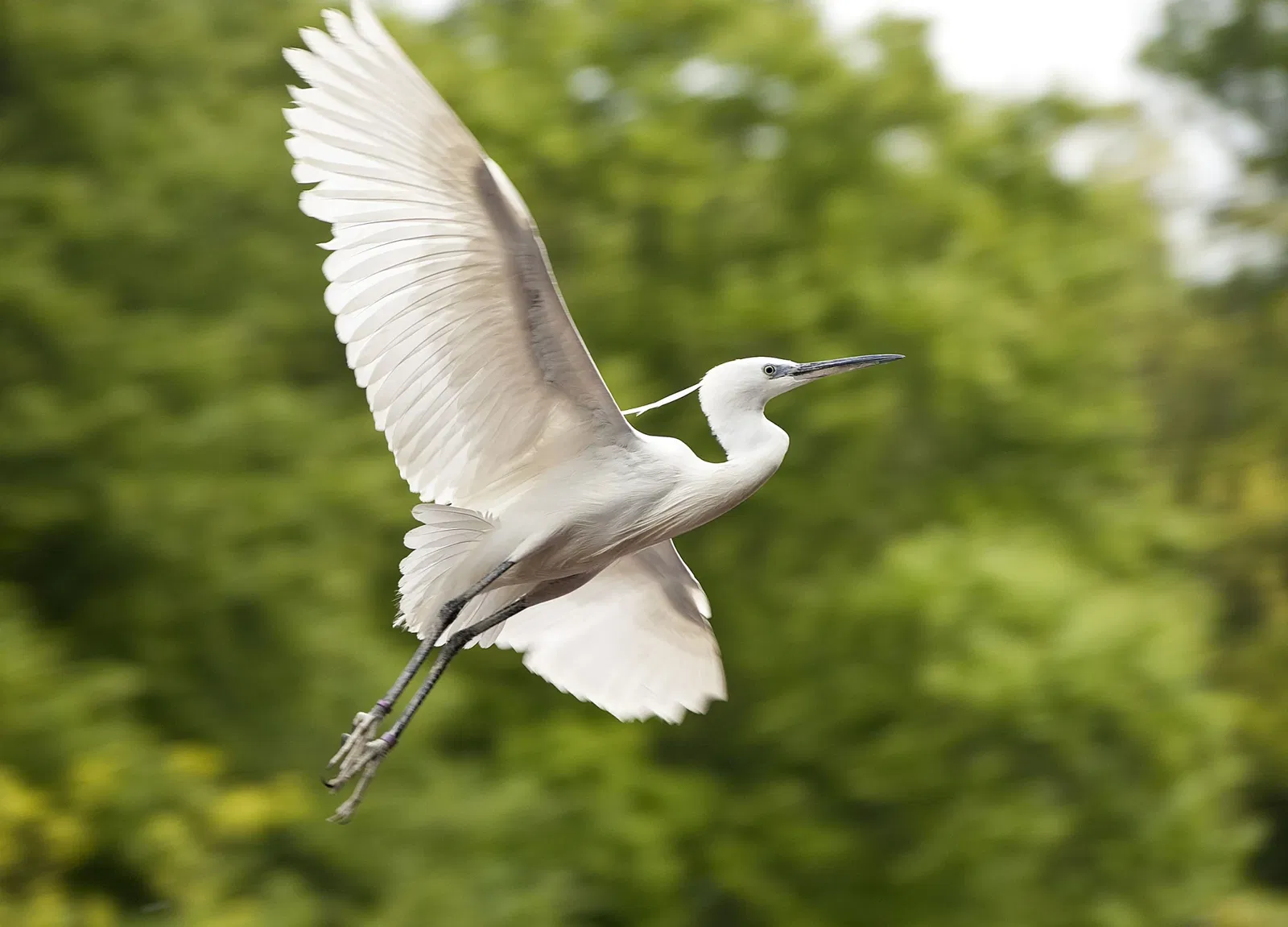 Les Terres de Nataé