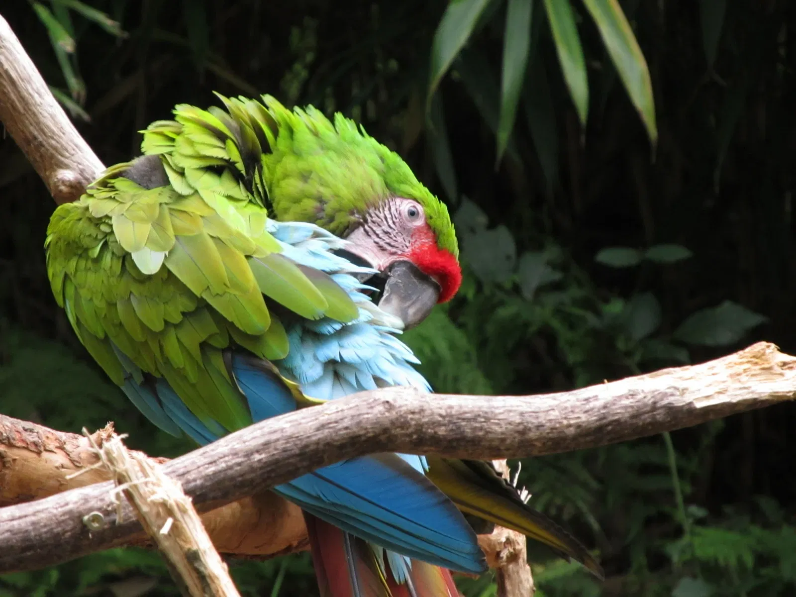 Les Terres de Nataé