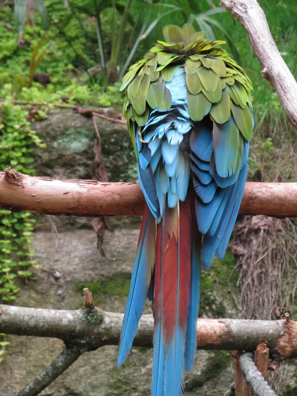 Les Terres de Nataé
