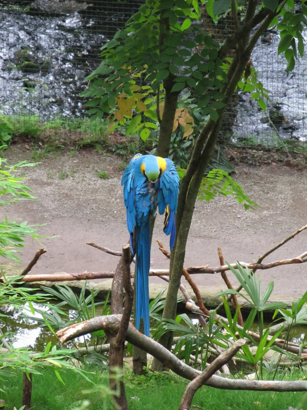 Les Terres de Nataé