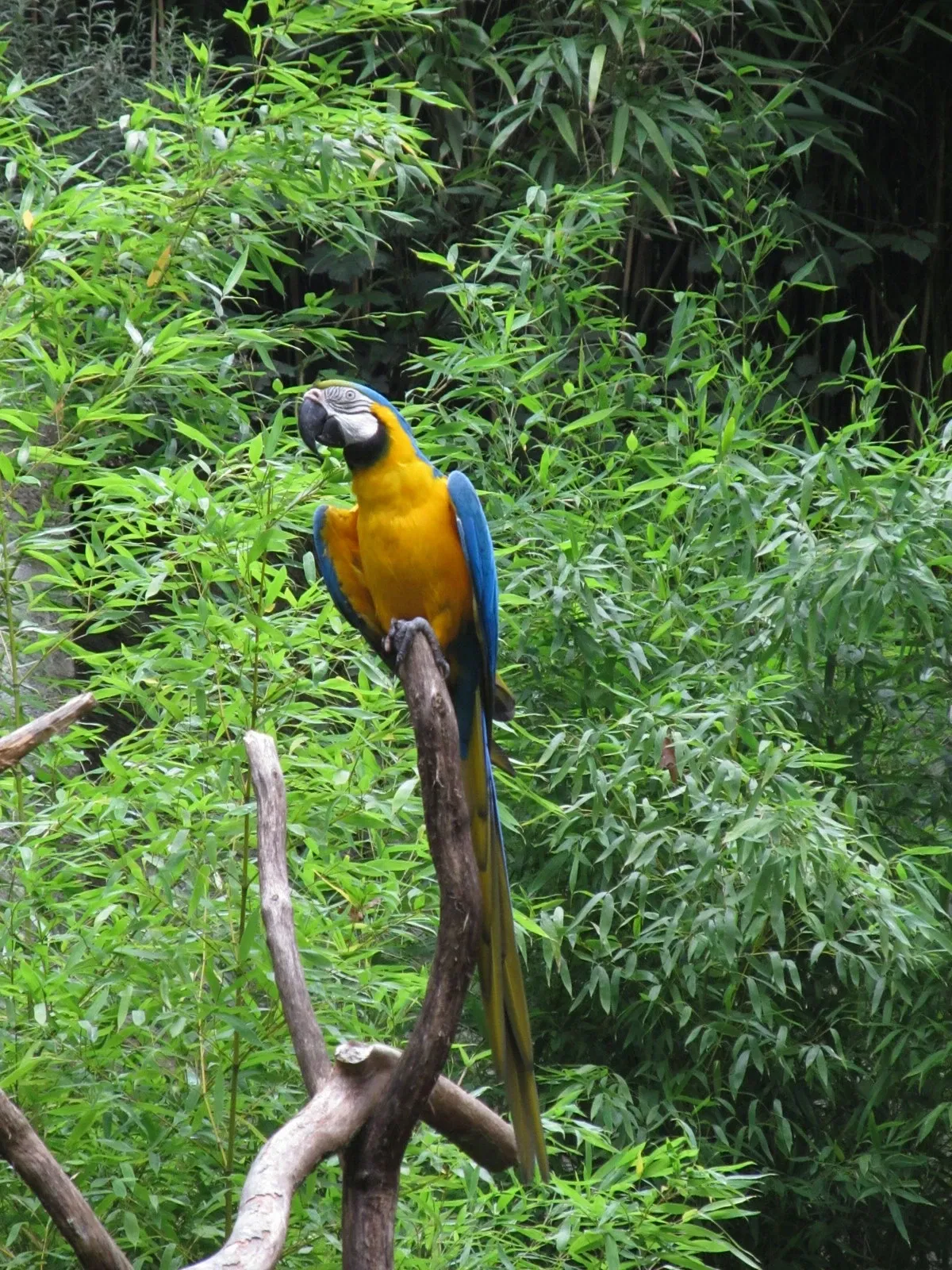 Les Terres de Nataé