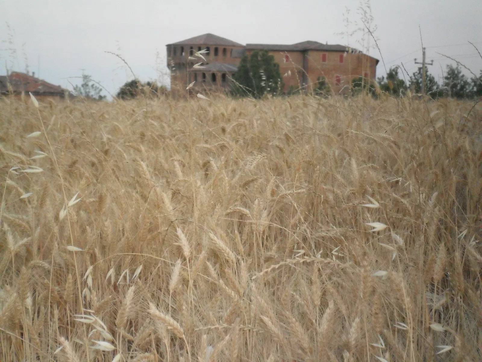 Sforza Castle in Dozza