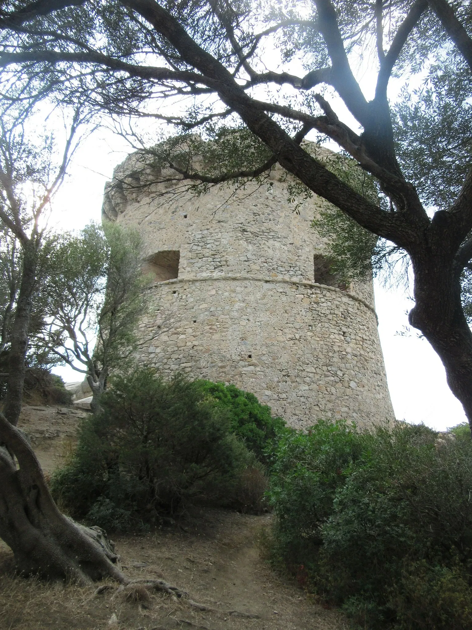Tower of Campumoru