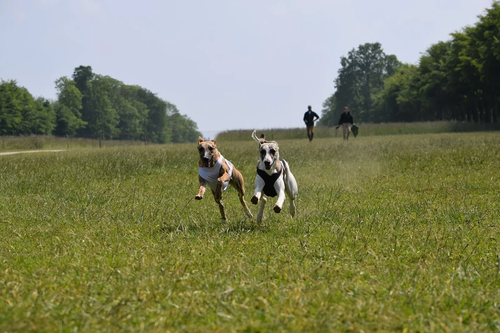 Zoo and Castle Bourbansais