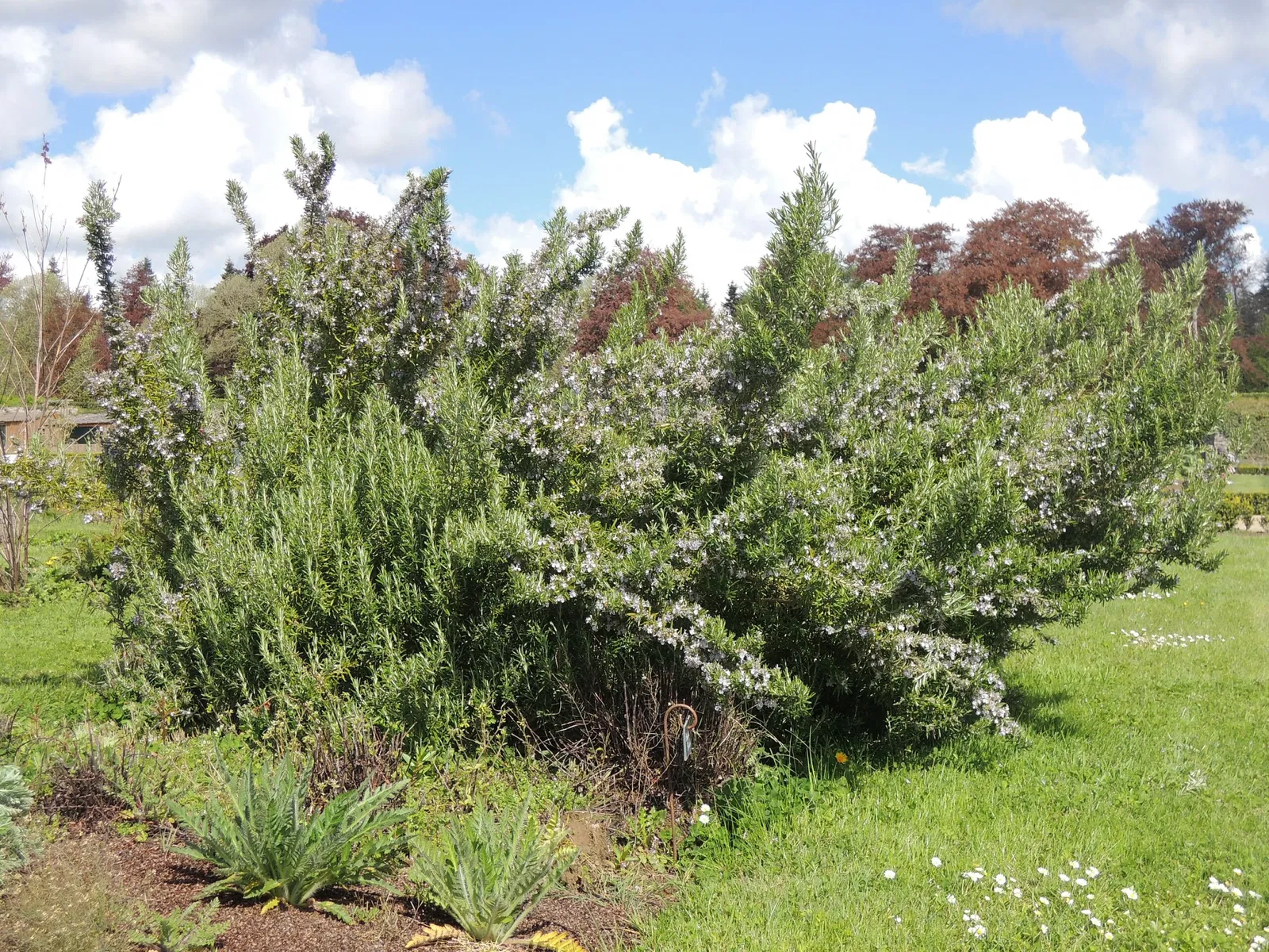 Zoo and Castle Bourbansais