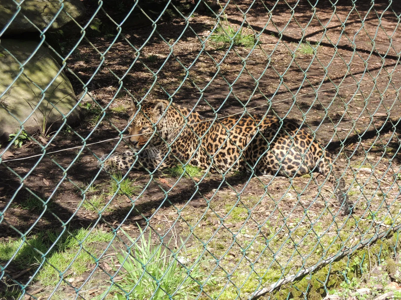 Zoo and Castle Bourbansais