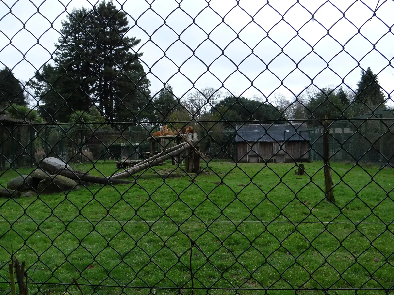 Château et Parc zoologique de la Bourbansais