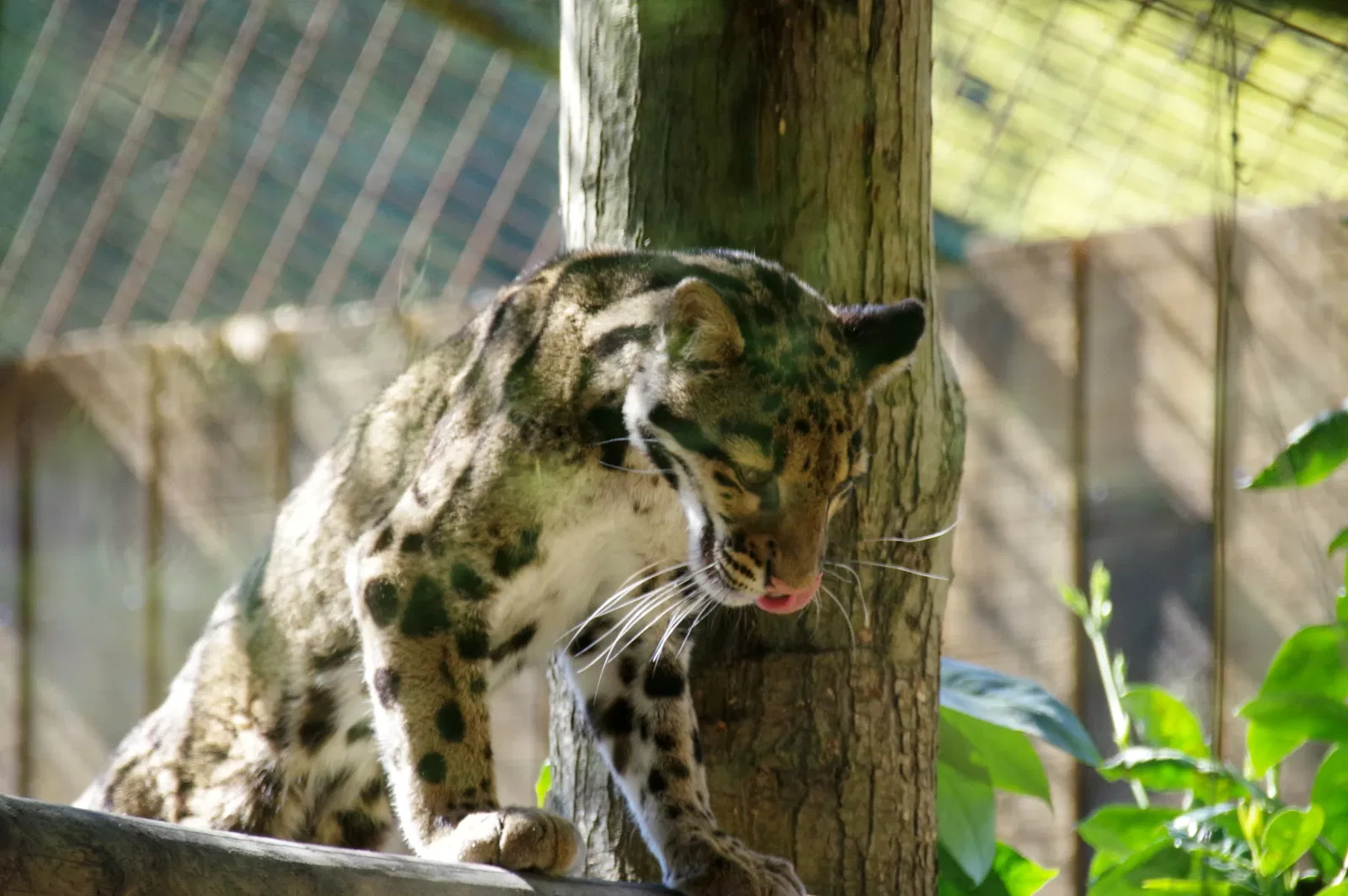 Zoo and Castle Bourbansais