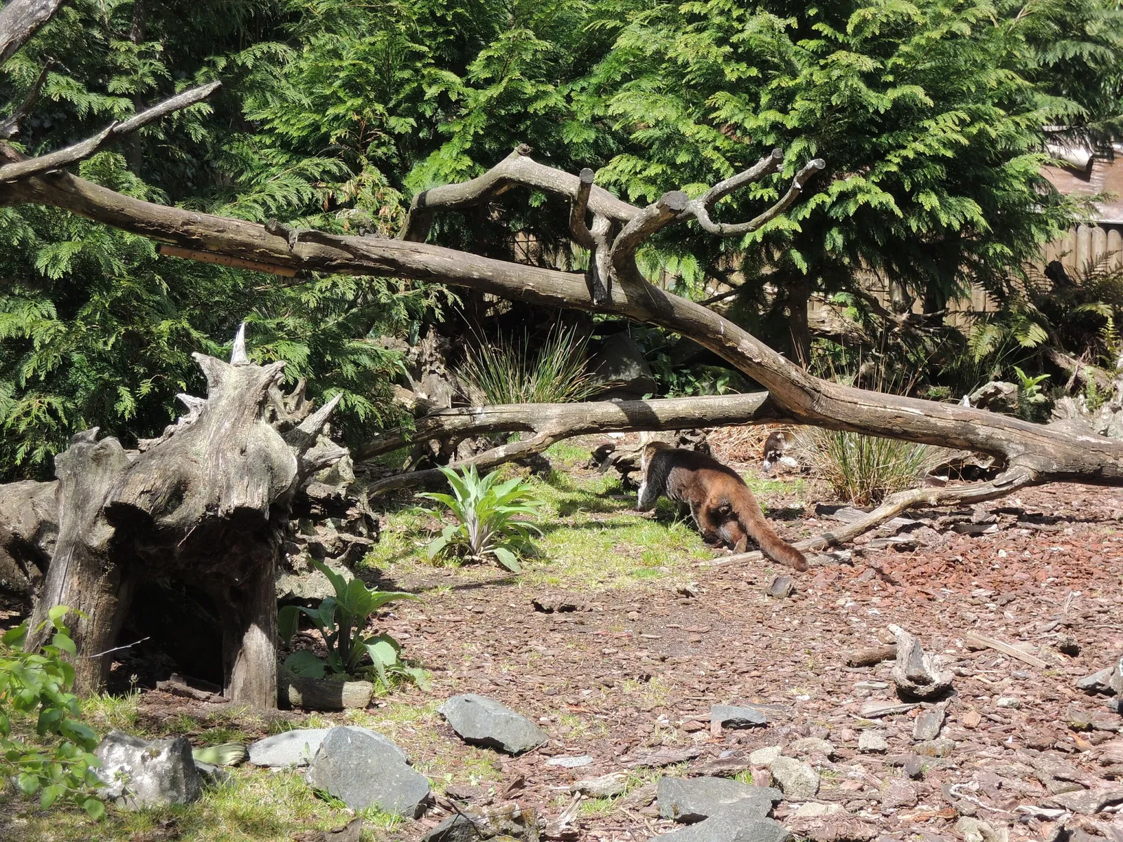 Château et Parc zoologique de la Bourbansais