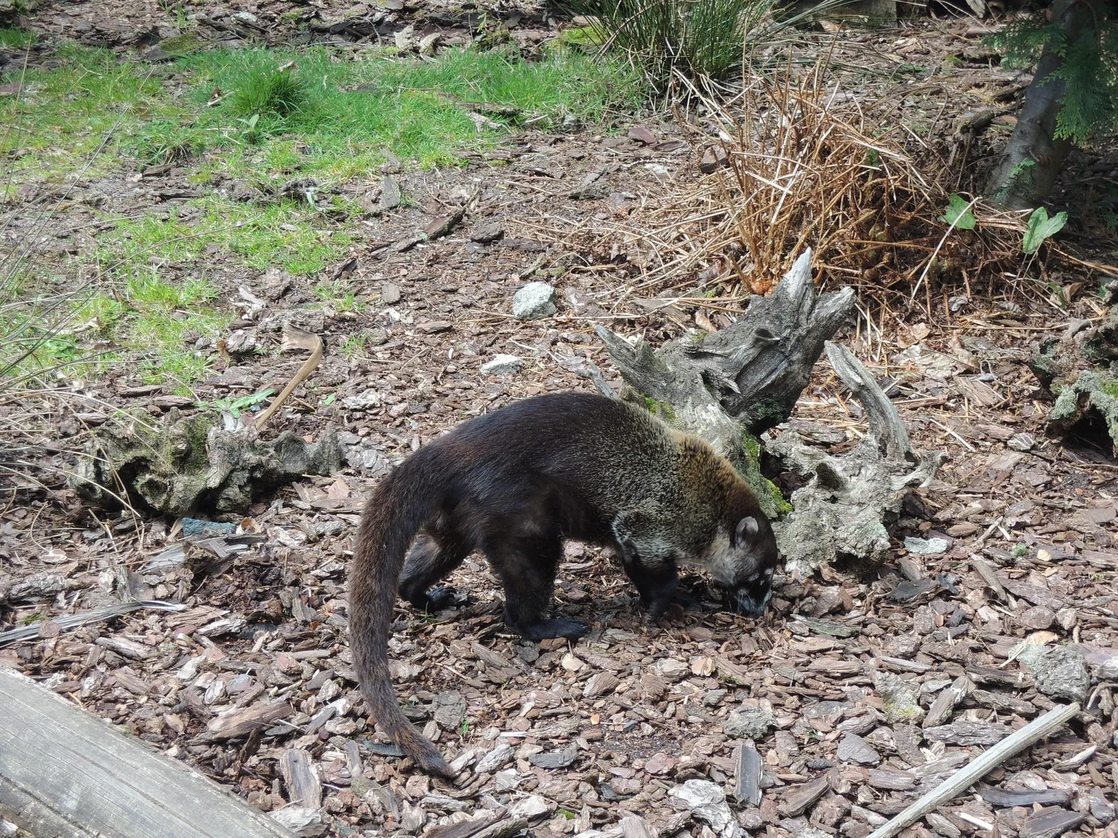 Zoo and Castle Bourbansais