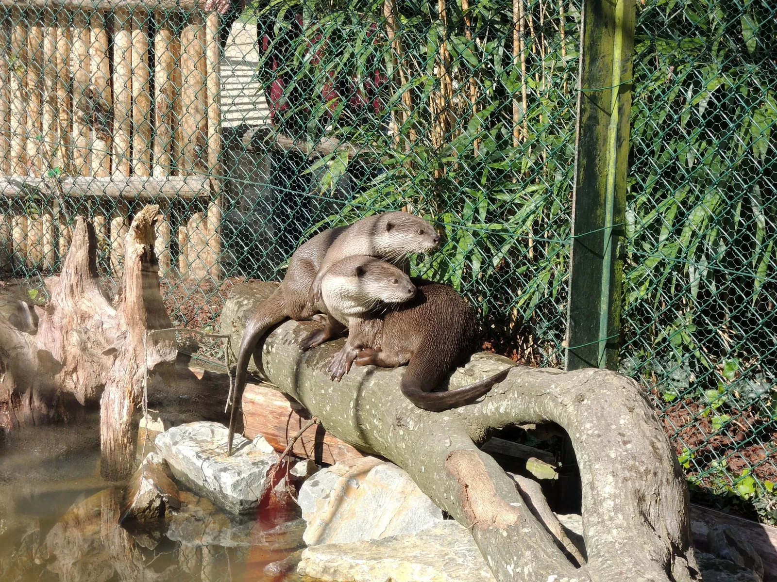 Château et Parc zoologique de la Bourbansais