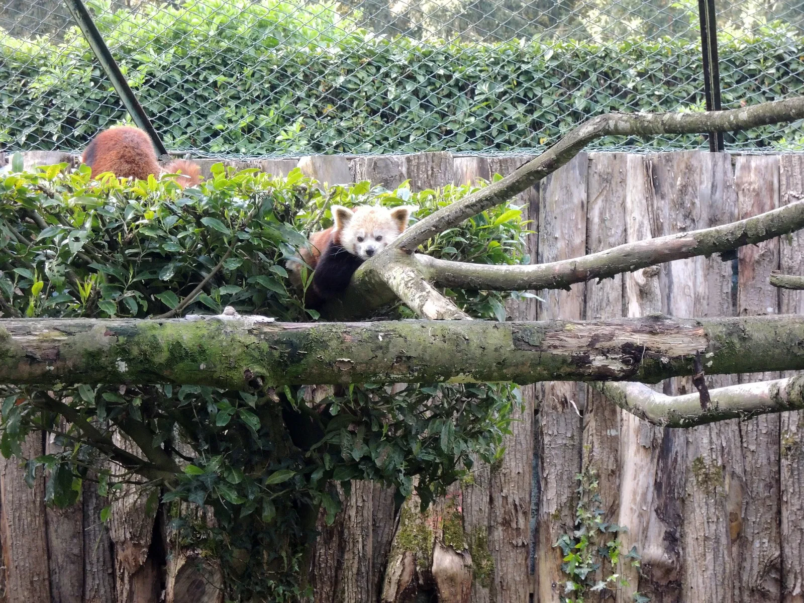 Château et Parc zoologique de la Bourbansais