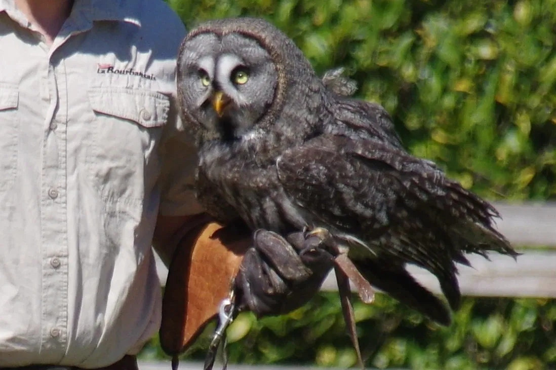 Zoo and Castle Bourbansais