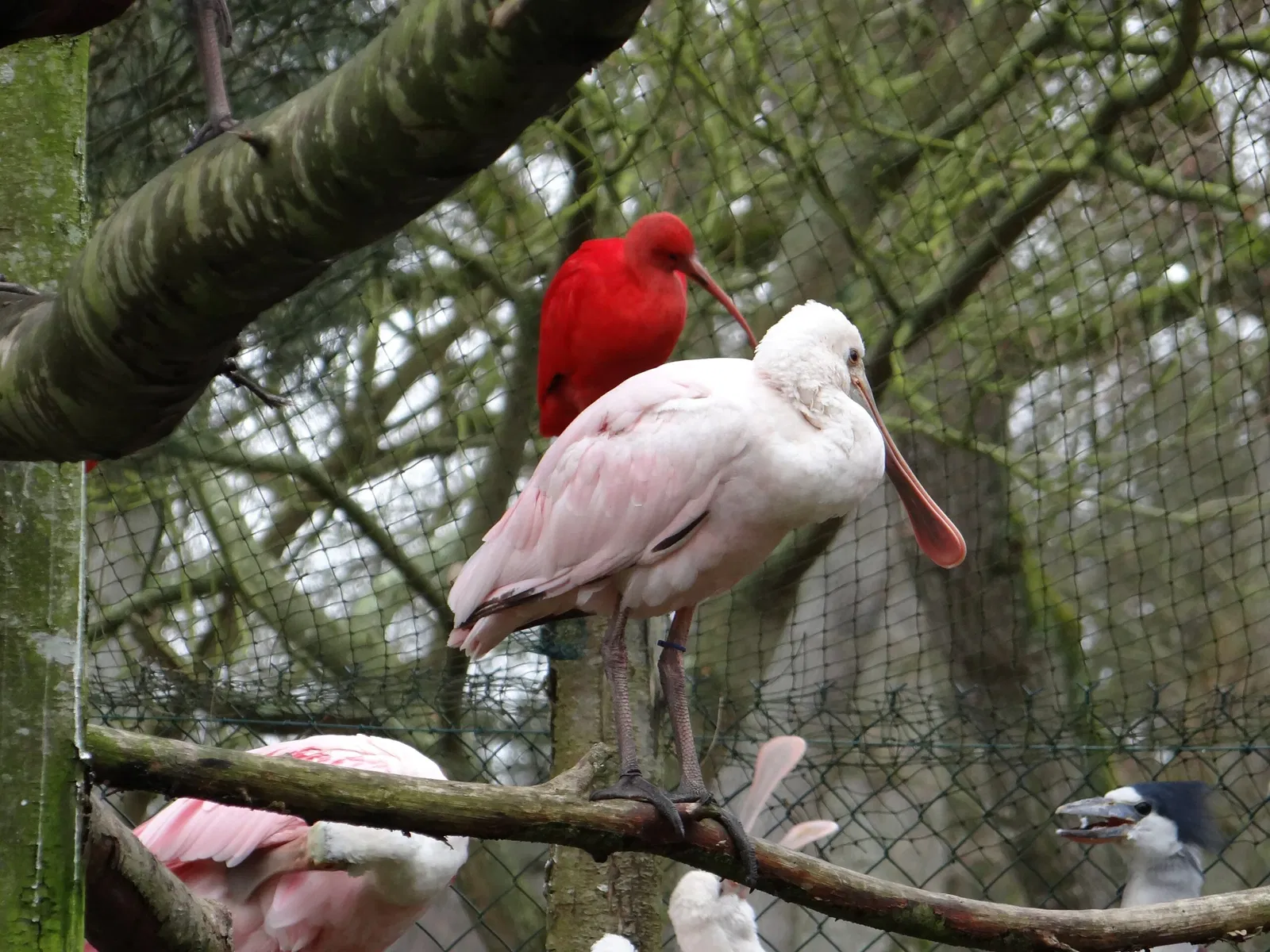 Château et Parc zoologique de la Bourbansais