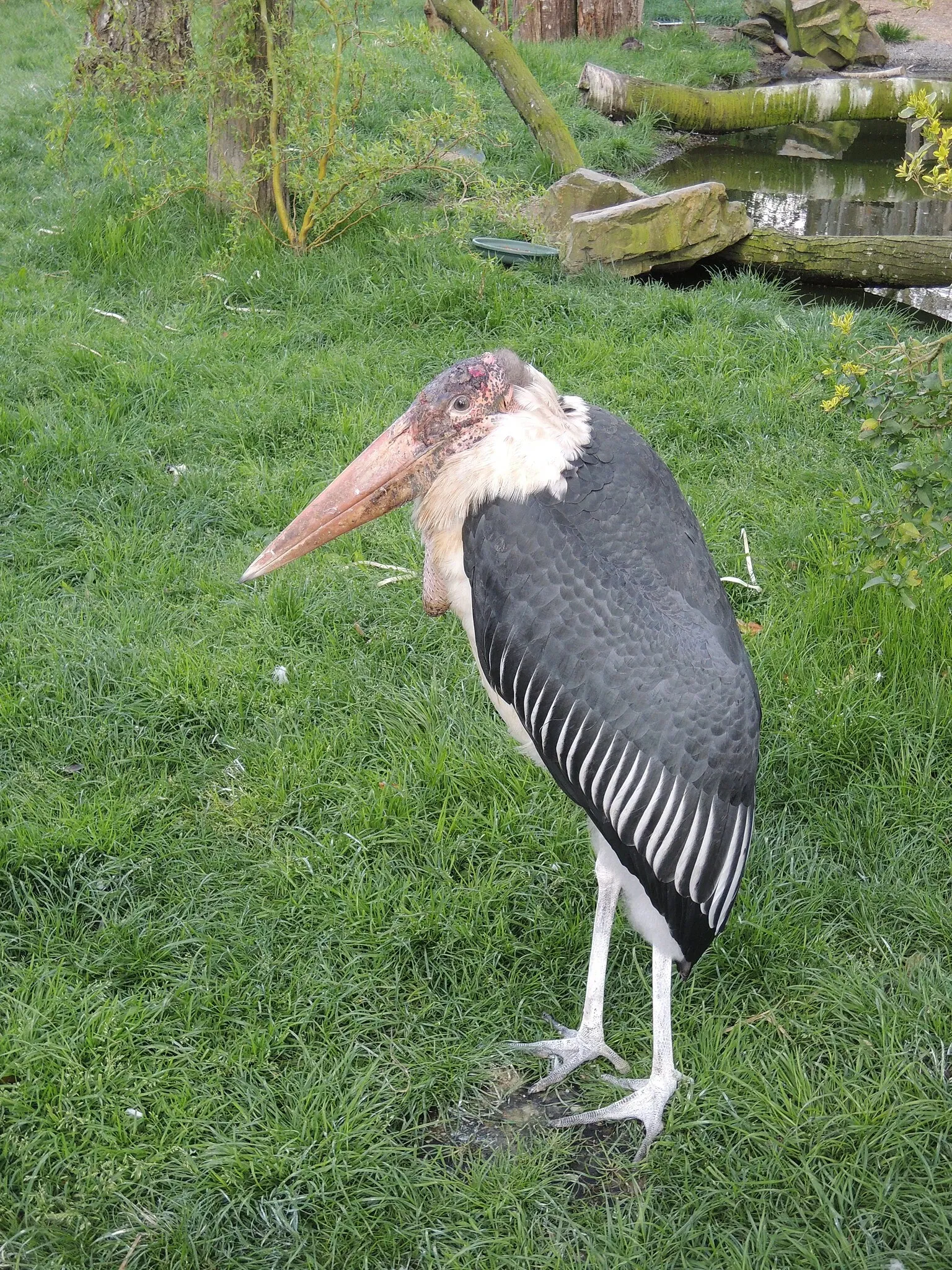 Château et Parc zoologique de la Bourbansais