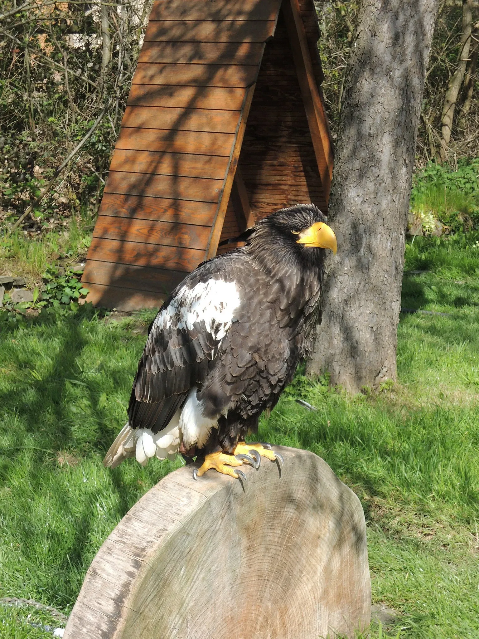 Zoo and Castle Bourbansais