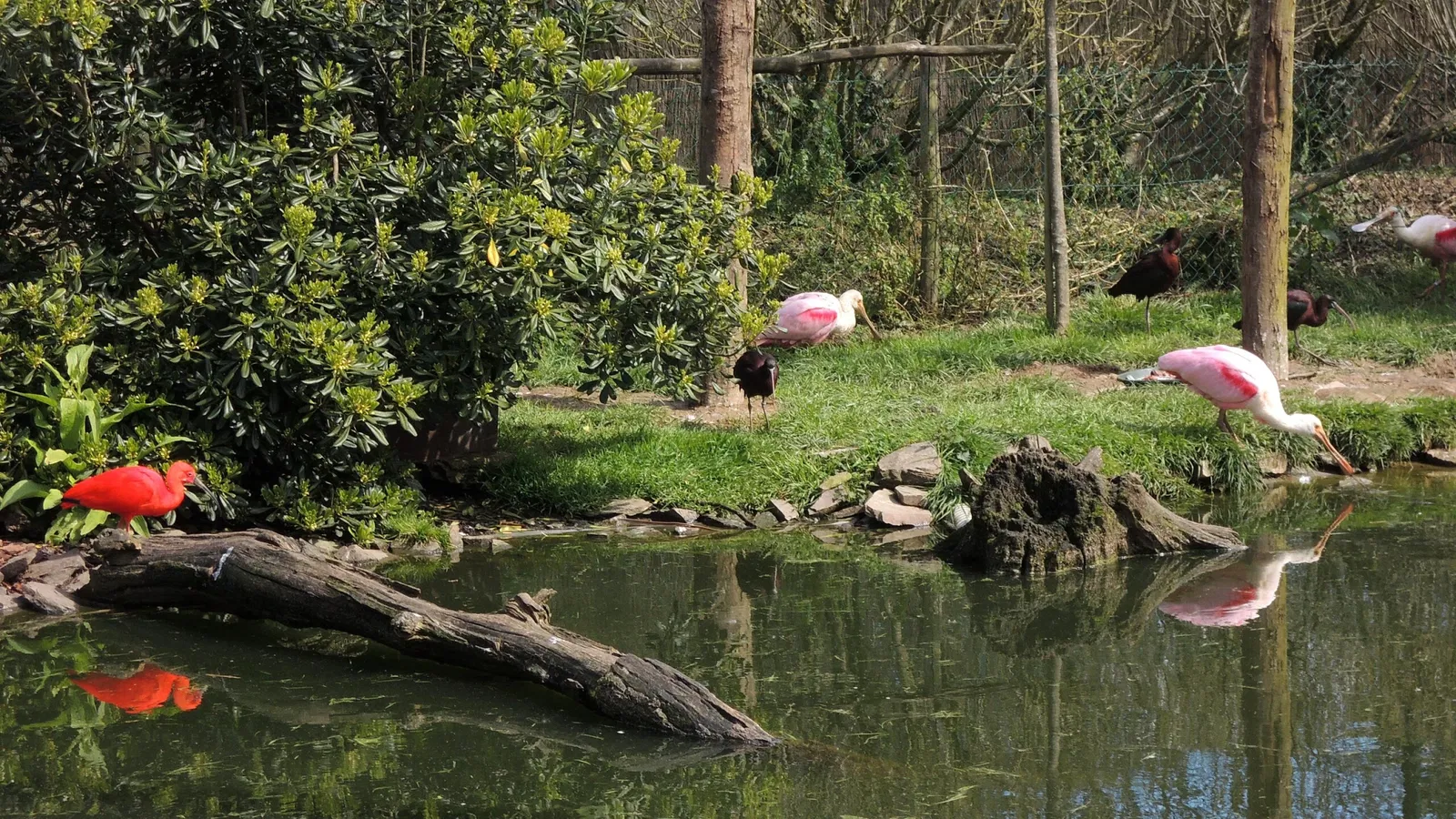 Château et Parc zoologique de la Bourbansais